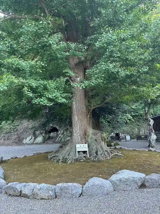 安房神社(千葉県)
