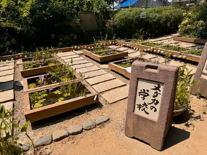 おふさ観音(観音寺)(奈良県)