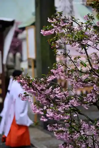 伊勢山皇大神宮の自然