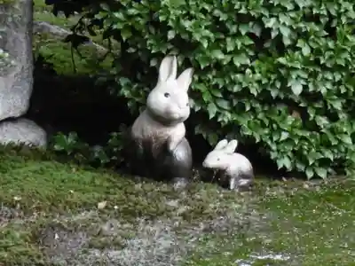 聖護院門跡の狛犬