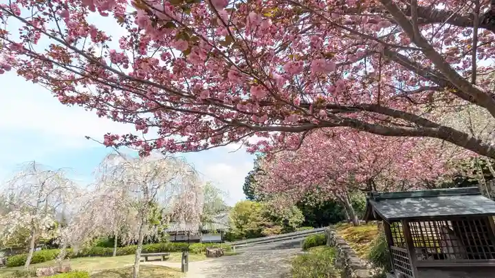 圓光寺(京都府)