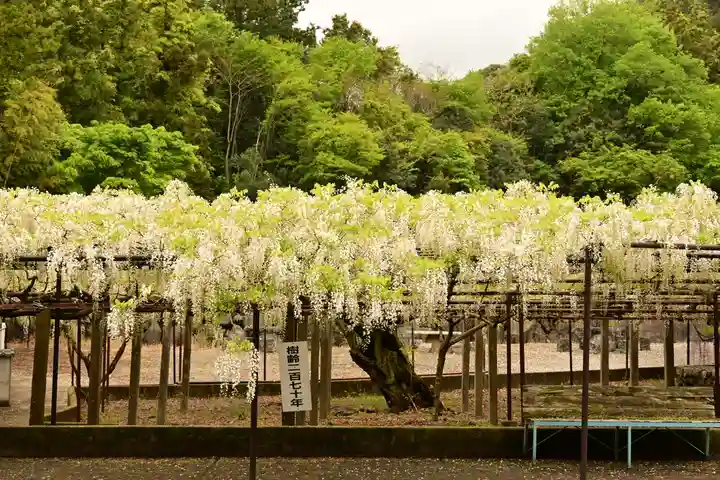 長泉寺(埼玉県)