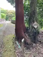 若都王子神社の自然