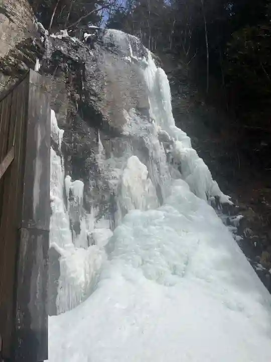 上尾御嶽神社の自然