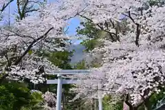 彌彦神社(新潟県)