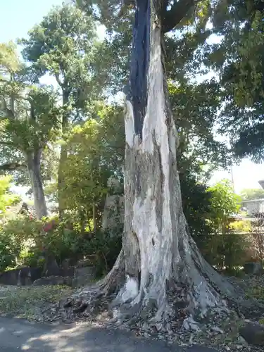善宿寺(愛知県)