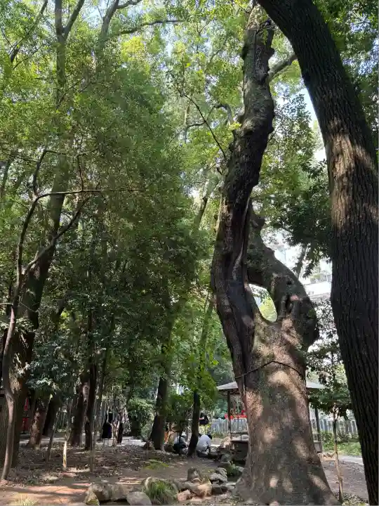 生田神社(兵庫県)