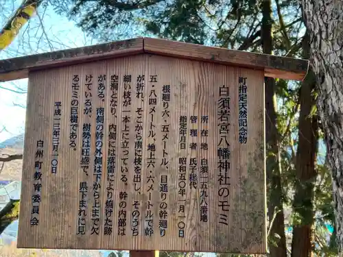 若宮八幡神社(山梨県)