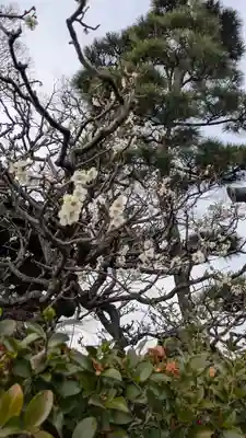  智積院(京都府)