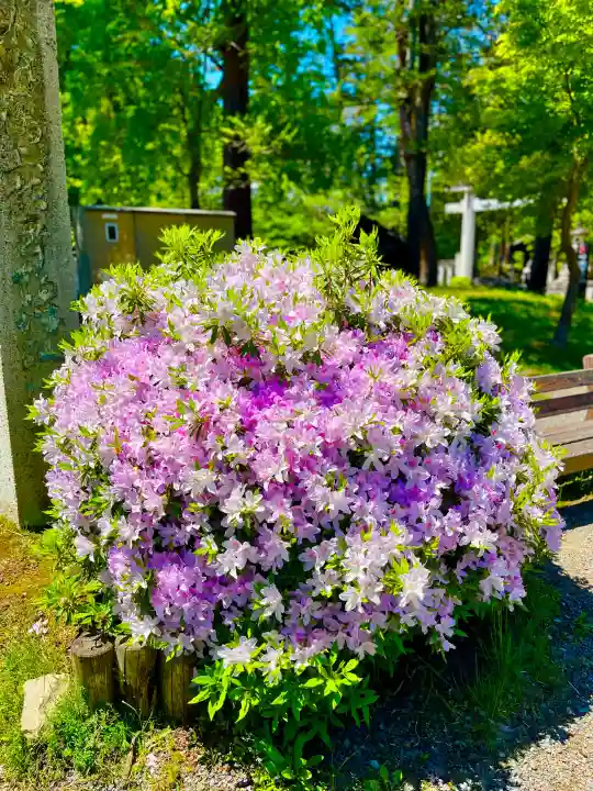 上杉神社の{uncategorized: "未分類", other: "その他", undefined: "問題あり", building: "その他建物", grave: "お墓", sacred_gate: "鳥居", guardian: "狛犬", statue: "像", buddha: "仏像", history: "歴史", nature: "自然", garden: "庭園", animal: "動物", pagoda: "塔", temizu: "手水舎", mountain_gate: "山門・神門", sanctuary: "本殿・本堂", subordinate: "末社・摂社", art: "芸術", scenery: "景色", jizo: "地蔵", ema: "絵馬", goshuin: "御朱印", omikuji: "おみくじ", items: "授与品その他", amulet: "お守り", goshuincho: "御朱印帳", eats: "食事", festival: "お祭り", votive_dance: "神楽", shichigosan: "七五三参", wedding: "結婚式", experience: "体験その他", initially: "初詣", around: "周辺", anti_infection: "感染症対策"}