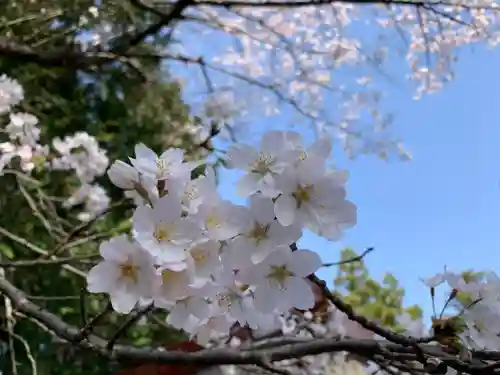 滑川神社 - 仕事と子どもの守り神(福島県)
