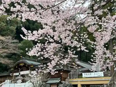 高麗神社(埼玉県)