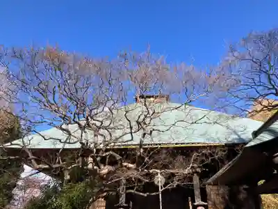 影向寺(神奈川県)