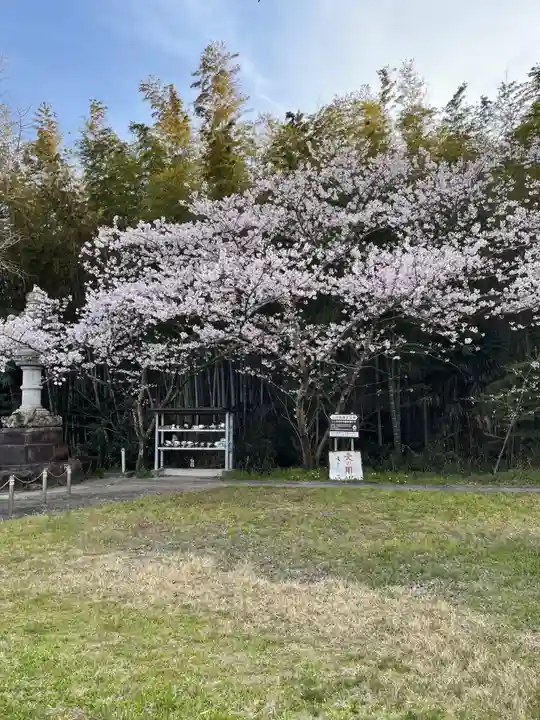 安楽寺(愛知県)
