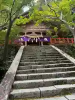 高鴨神社(奈良県)