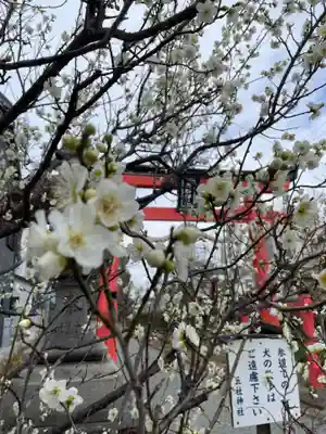 五社神社(京都府)