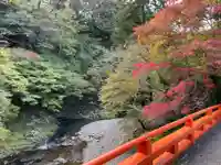 西明寺(京都府)