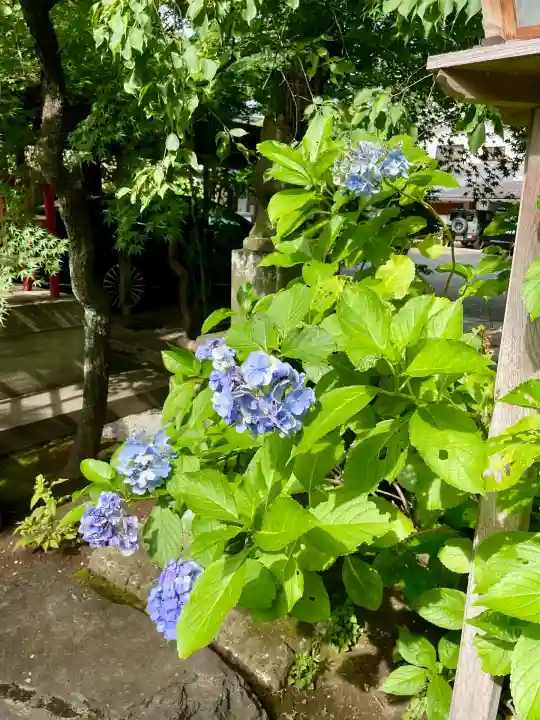 大吉稲荷(東京都)