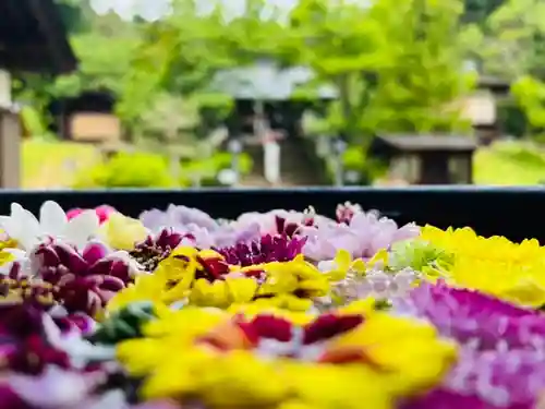 土津神社｜こどもと出世の神さまの手水