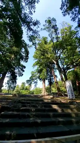 伊勢神宮内宮（皇大神宮）の{uncategorized: "未分類", other: "その他", undefined: "問題あり", building: "その他建物", grave: "お墓", sacred_gate: "鳥居", guardian: "狛犬", statue: "像", buddha: "仏像", history: "歴史", nature: "自然", garden: "庭園", animal: "動物", pagoda: "塔", temizu: "手水舎", mountain_gate: "山門・神門", sanctuary: "本殿・本堂", subordinate: "末社・摂社", art: "芸術", scenery: "景色", jizo: "地蔵", ema: "絵馬", goshuin: "御朱印", omikuji: "おみくじ", items: "授与品その他", amulet: "お守り", goshuincho: "御朱印帳", eats: "食事", festival: "お祭り", votive_dance: "神楽", shichigosan: "七五三参", wedding: "結婚式", experience: "体験その他", initially: "初詣", around: "周辺", anti_infection: "感染症対策"}