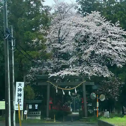 大神神社の自然