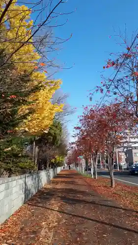 新琴似神社の周辺