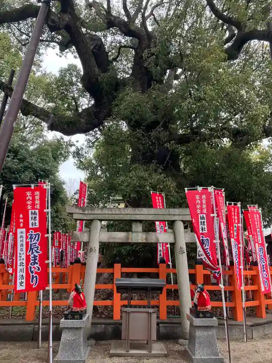 住吉大社(大阪府)