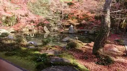 蓮華寺（洛北蓮華寺）の庭園