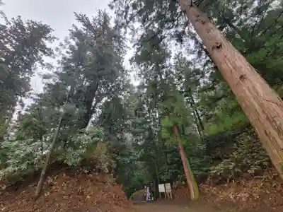 妙義神社(群馬県)