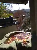 石内のお大師さん 金剛院の手水舎