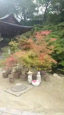 岡寺(龍蓋寺)(奈良県)