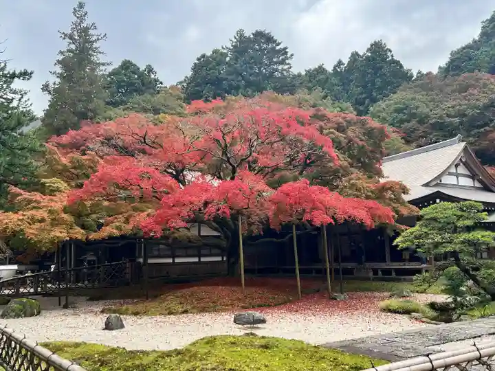千如寺大悲王院(福岡県)