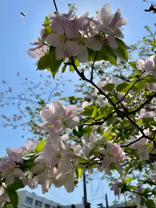蓮華寺(福島県)