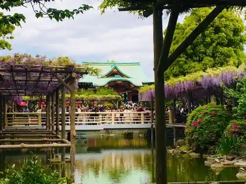 亀戸天神社の庭園