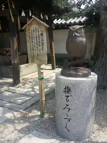 射楯兵主神社の狛犬