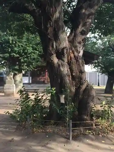 白山神社のその他建物
