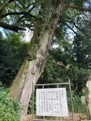 大興寺(香川県)