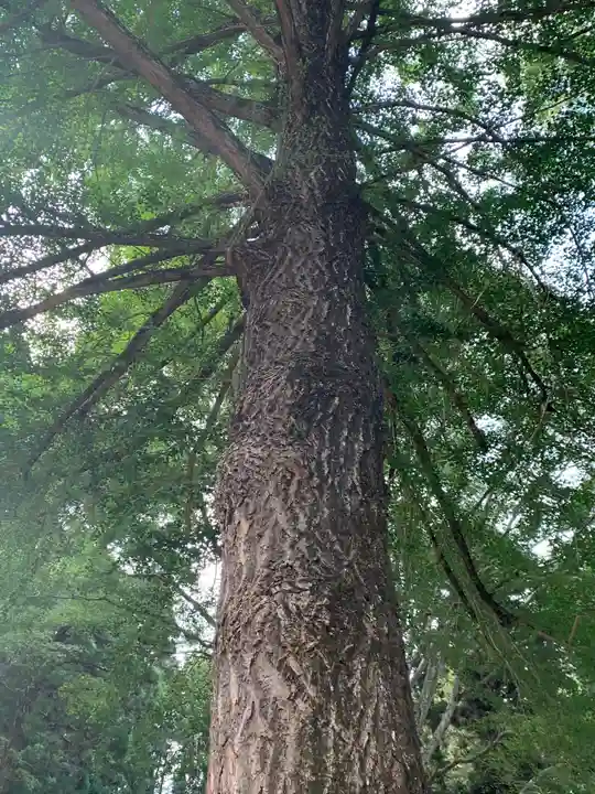 徳蔵寺(茨城県)