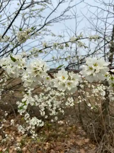 上更別神社の自然