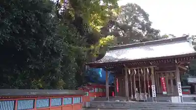 富岡八幡宮の本殿・本堂