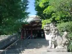 待乳山聖天（本龍院）の狛犬