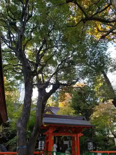 愛宕神社の自然