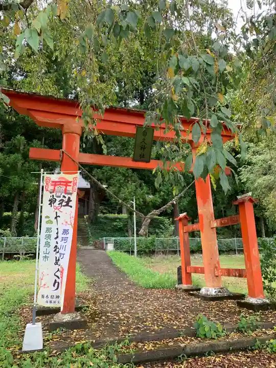 白久神社の鳥居