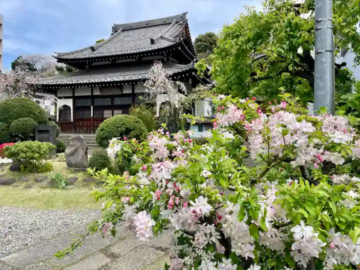青雲寺(東京都)