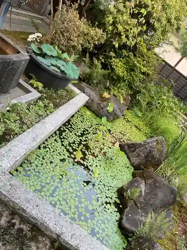 松音寺(愛知県)