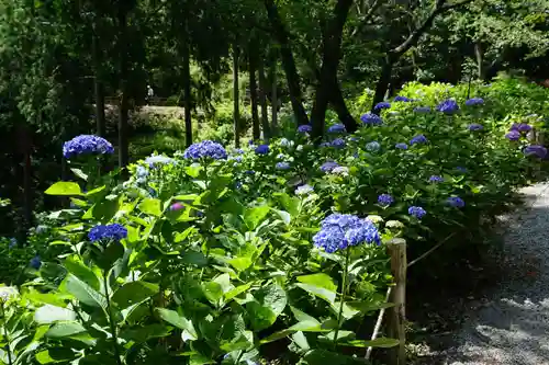 救馬溪観音の庭園