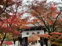 禅林寺(永観堂)(京都府)