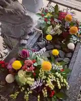 滑川神社 - 仕事と子どもの守り神の手水舎