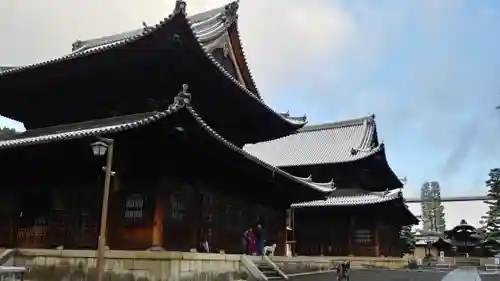 妙心寺（妙心禅寺）の本殿・本堂