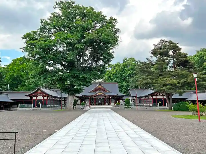 北海道護國神社の本殿・本堂